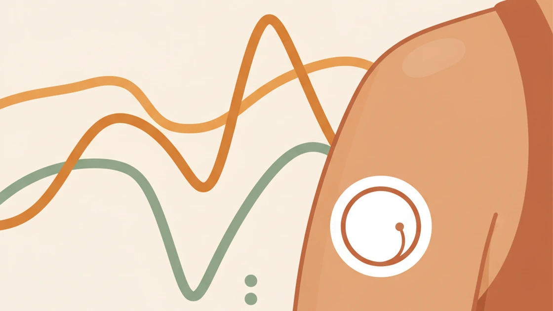 How a CGM-guided programme reads your trajectory